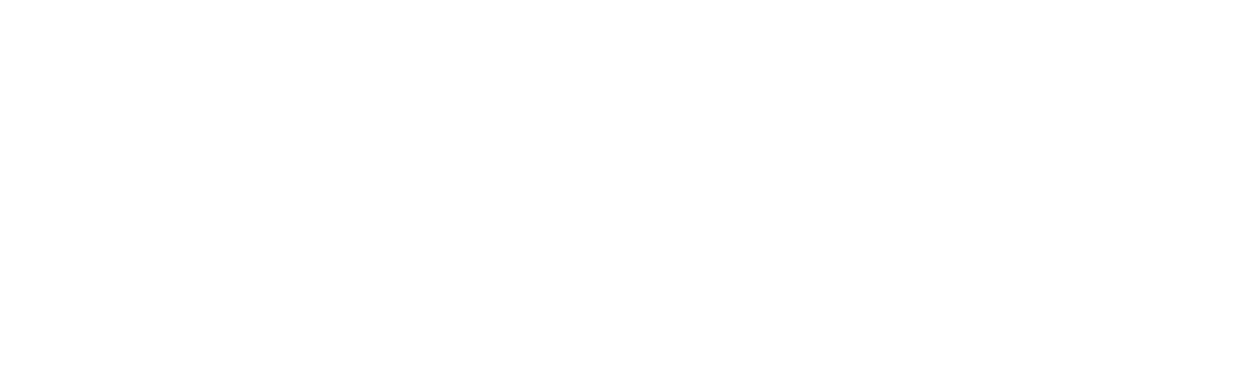 DYNAMIC TECHNOLOGY